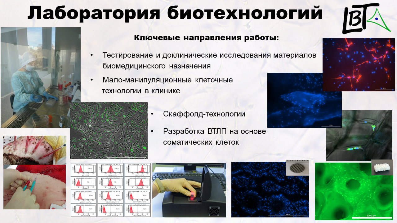 Бюллетень новых поступлений 2012 год